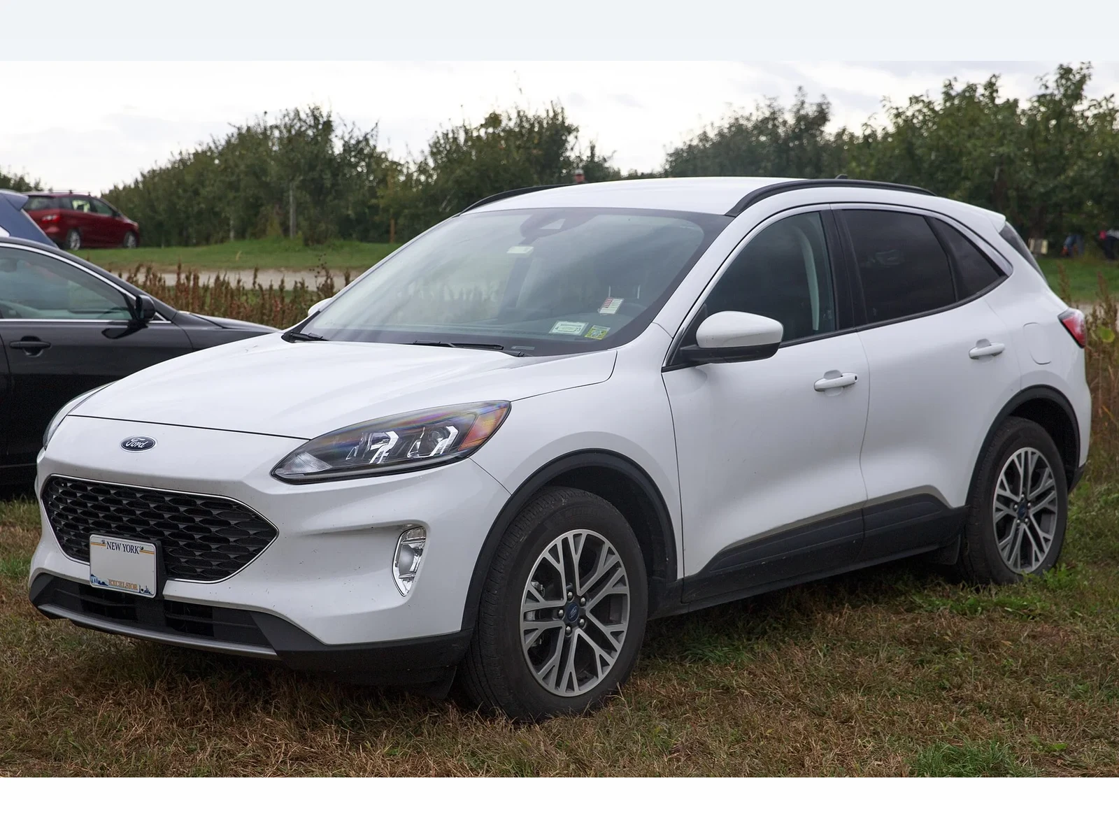 Ford Escape 前四分之三视角 — SeaTac CONRAC 租车车型图库